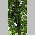 p1010154 [800x600].jpg